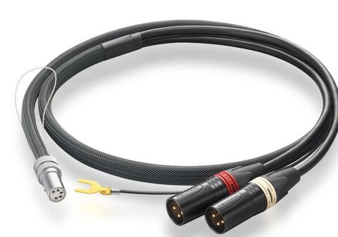 Phasemation CC-1000 D (5-pin DIN - XLR) 1,2 м.