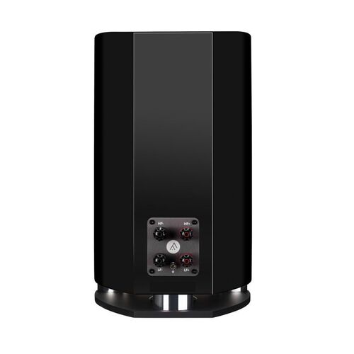 Fyne Audio F701 SP High Gloss Black