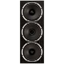 Fyne Audio F500S LCR Black Oak