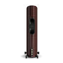 Dali Epikore 9 High Gloss Maroon