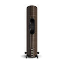 Dali Epikore 9 Gloss Walnut