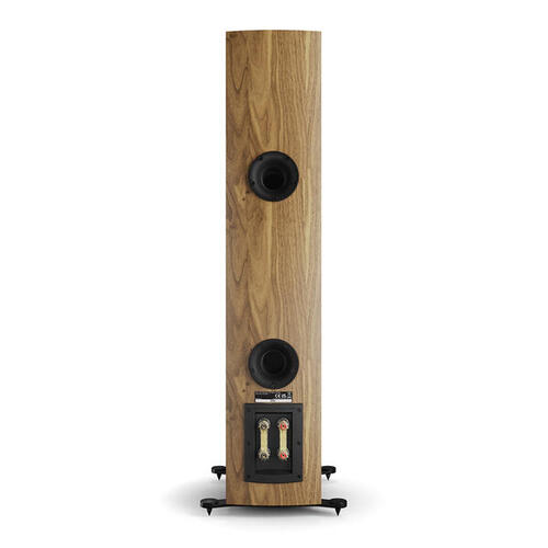DALI Rubikore 6 Natural Walnut