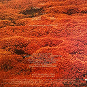 Kenny Wheeler, Keith Jarrett, Dave Holland, Jack DeJohnette Gnu High