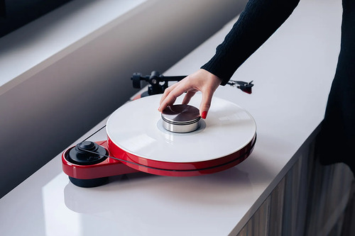 Pro-Ject Audio Record Puck DS Silver 915 g