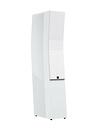 SVS Ultra Evolution Titan Gloss White