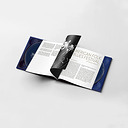 The Original American Folk Blues Festival Live In Paris 1962 & Bremen 1963 (2 UHQCD)