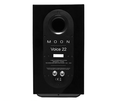 Moon Voice 22 Black Gloss