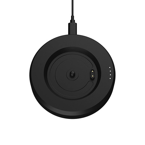 HumminGuru LUMI Record Stabilizer