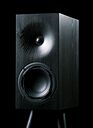 Buchardt Audio E50 Stained Black