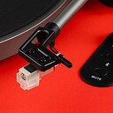 Phaze Audio Diana Valkyrian Red AT3600L