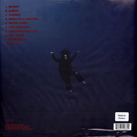 Billie Eilish Hit Me Hard and Soft