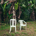 Bad Bunny Debi Tirar Mas Fotos Coloured Opaque White Vinyl (2 LP)