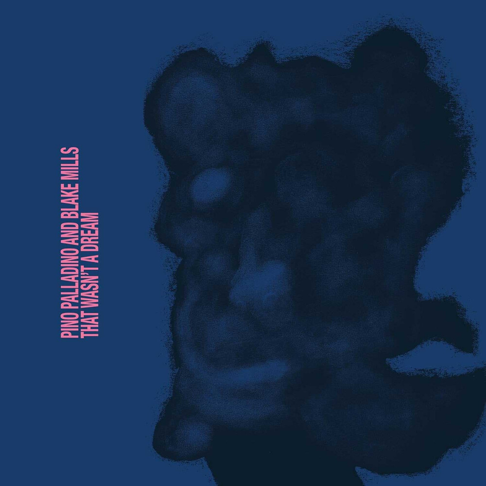 Pino Palladino & Blake Mills That Wasn't a Dream