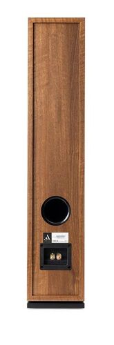 Argon Audio Forus 55 Walnut