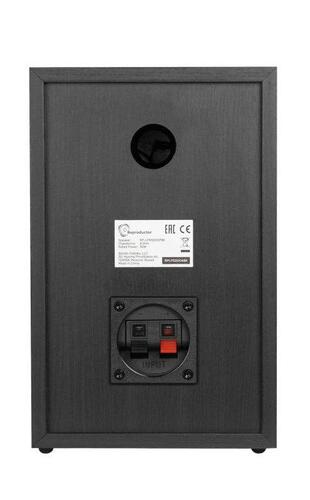 Reproductor RP-LPX500SP Black