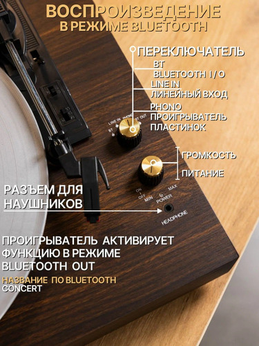 MusicHall Concert Walnut