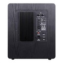 Tone Winner SW-D1000