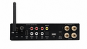 Premiera Mini Amp L Black
