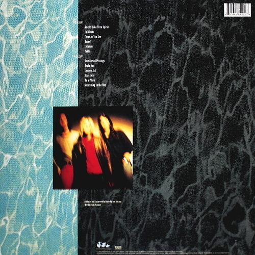 Nirvana Nevermind
