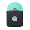 Analog Renaissance Inner Record Sleeve Audiophile Paper + Plastic Set (10 pcs.)