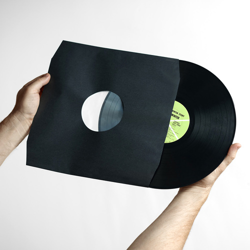 Analog Renaissance Inner Record Sleeve Audiophile Paper + Plastic Set (10 pcs.)