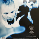 Evanescence Fallen