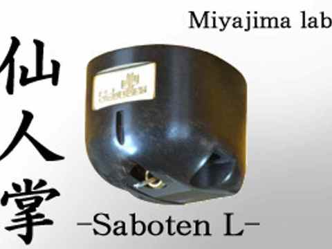 Miyajima Saboten L