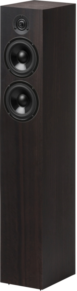 Pro-Ject Speaker Box 10 DS2 Eucalyptus