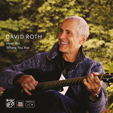 David Roth Meet You Where You Are (2 LP)